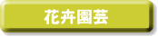 �ԙ����|