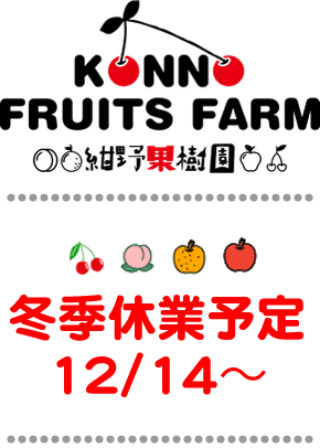 ����ʎ���