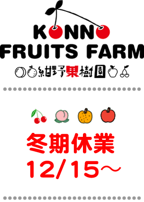 ����ʎ���